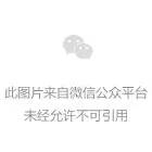 十三水