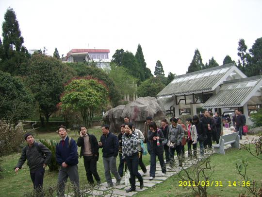 十三水